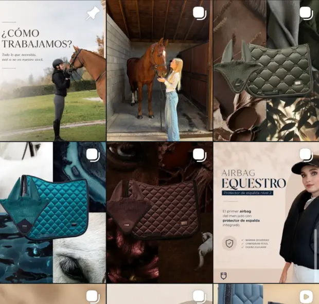 Publicaciones del feed de Instagram