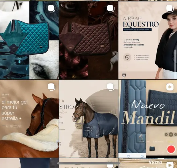 Más publicaciones del feed de Instagram