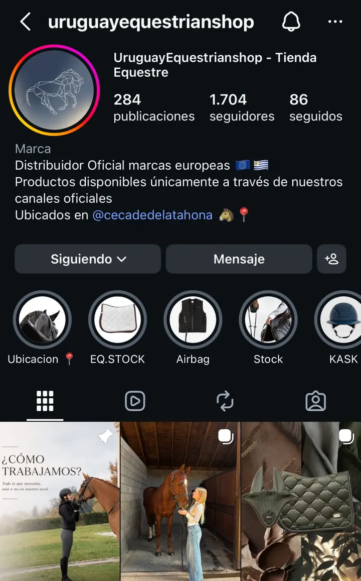 Perfil completo de Uruguay Equestrian Shop en Instagram