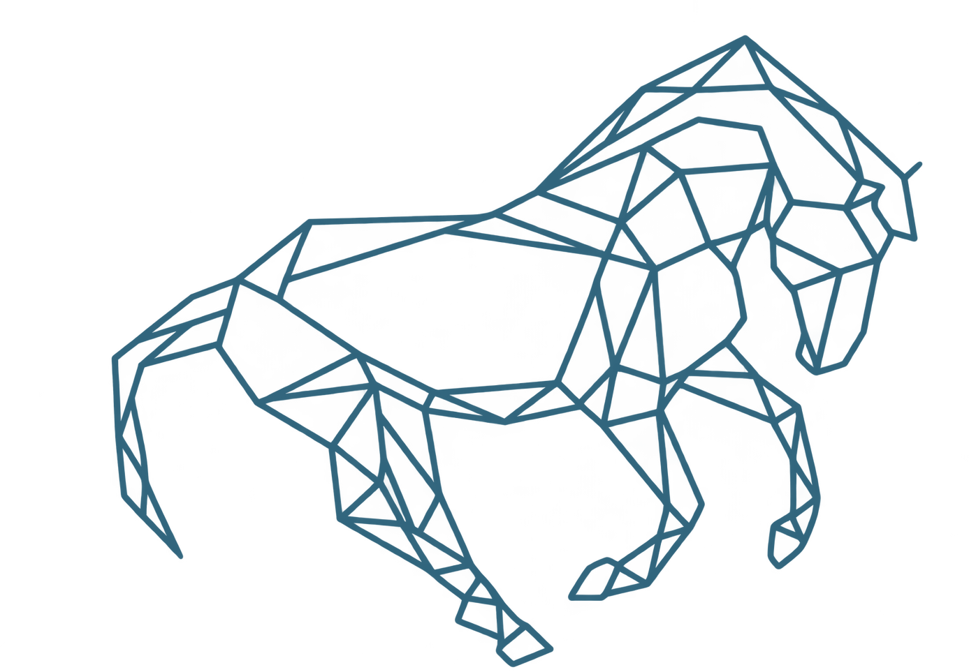 Uruguay Equestrian Shop